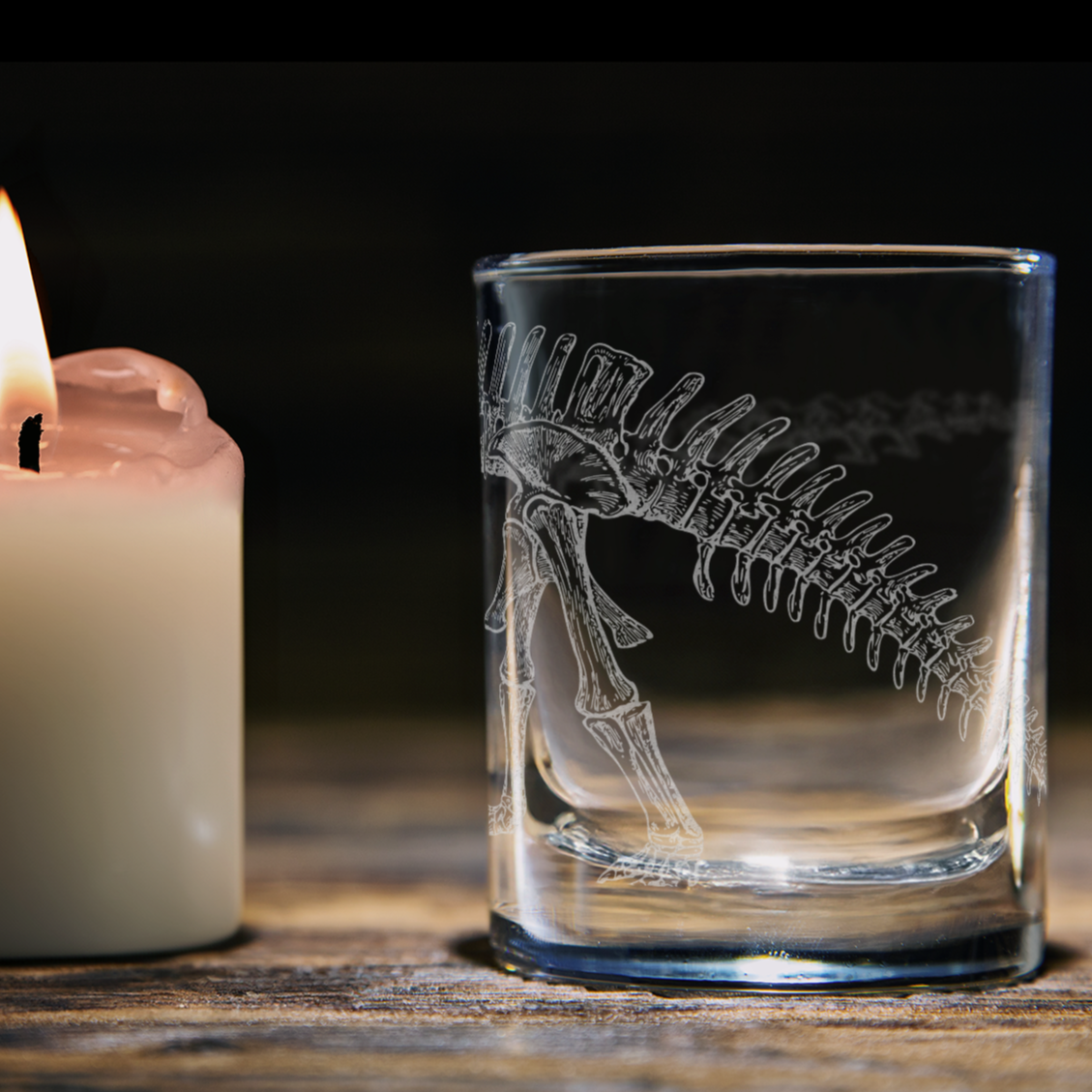 BRONTOSAURUS SKELETON Shot Glass