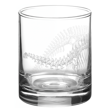 BRONTOSAURUS SKELETON Whiskey Glass