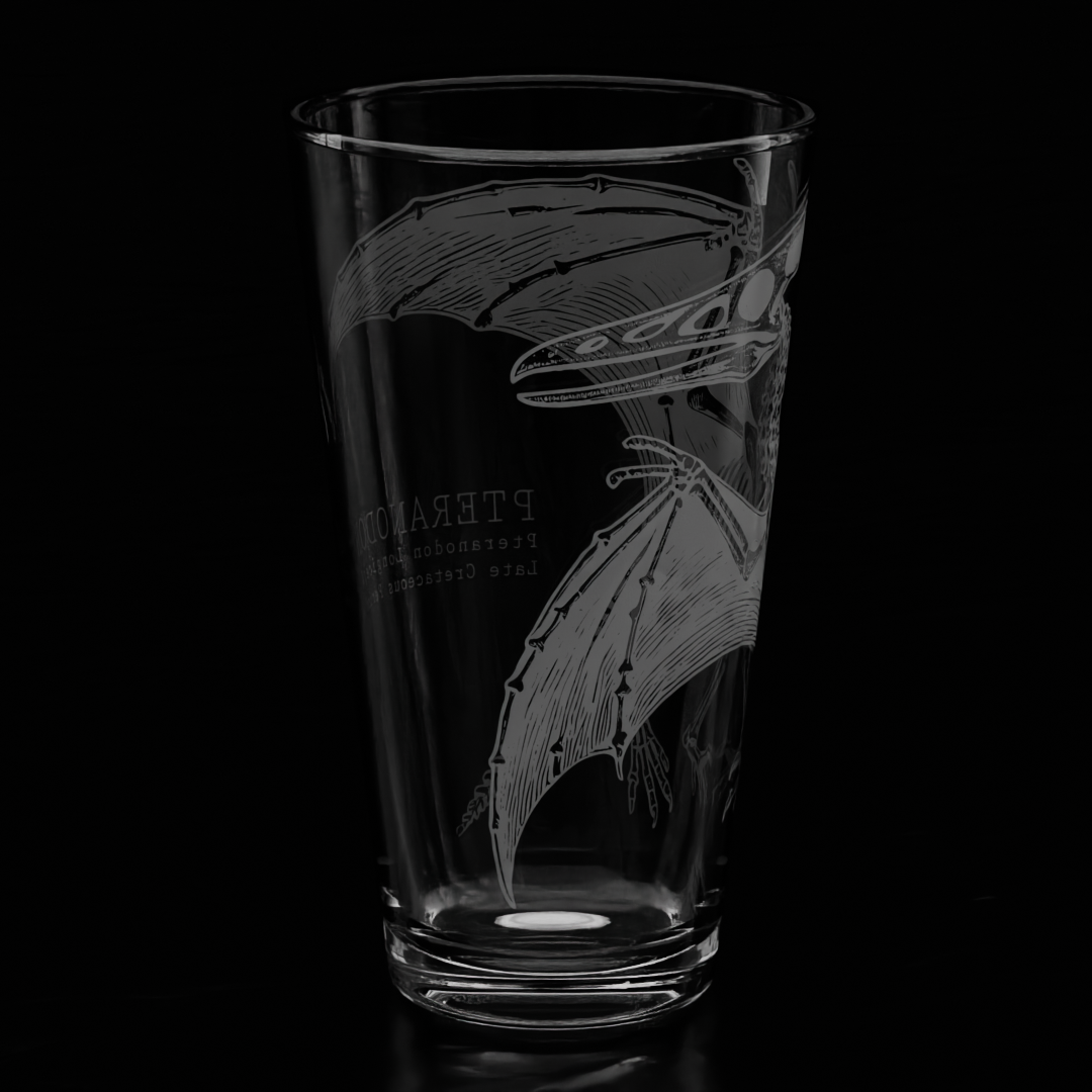 PTERANODON SKELETON Pint Glass