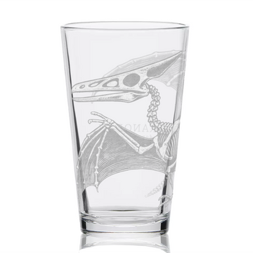 PTERANODON SKELETON Pint Glass