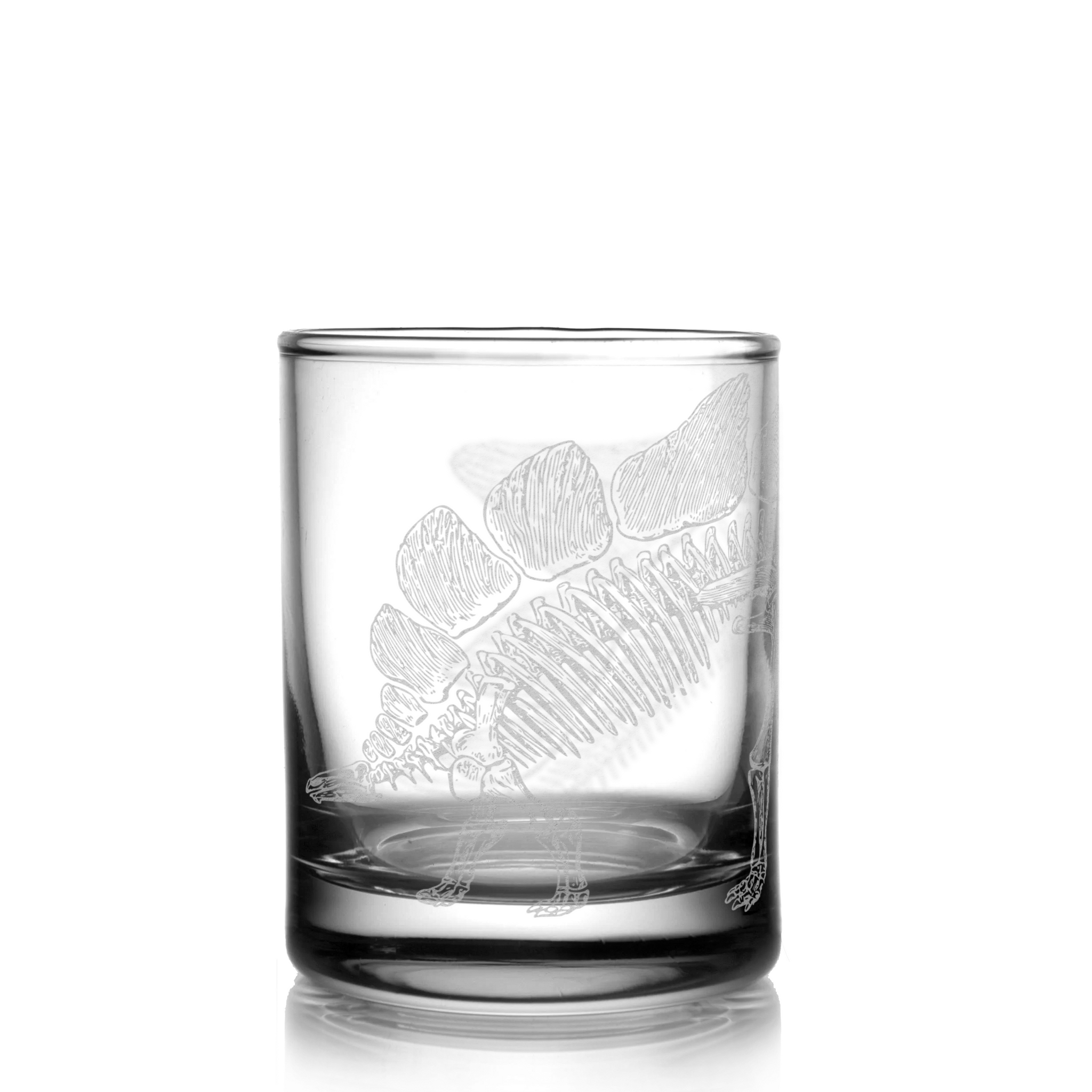 STEGOSAURUS SKELETON Shot Glass